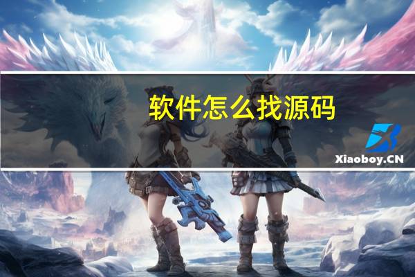 软件怎么找源码