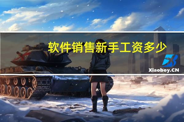 软件销售新手工资多少