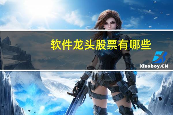 软件龙头股票有哪些