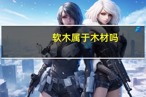 软木属于木材吗