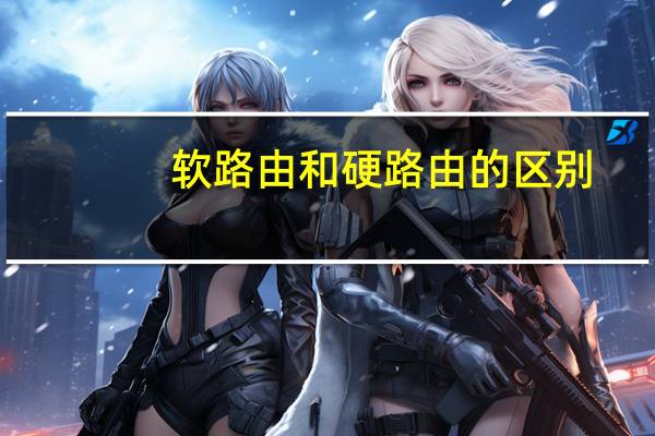 软路由和硬路由的区别
