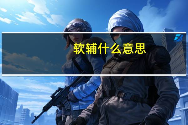软辅什么意思