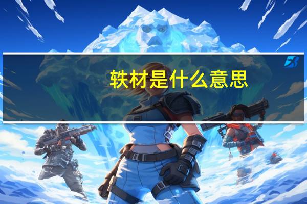 轶材是什么意思