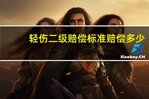 轻伤二级赔偿标准赔偿多少