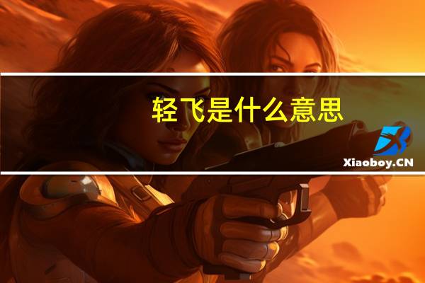轻飞是什么意思