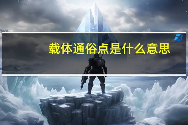载体通俗点是什么意思