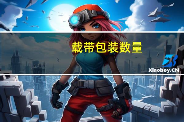 载带包装数量