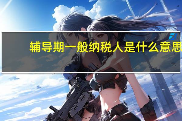 辅导期一般纳税人是什么意思