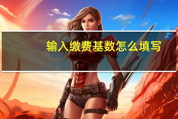 输入缴费基数怎么填写