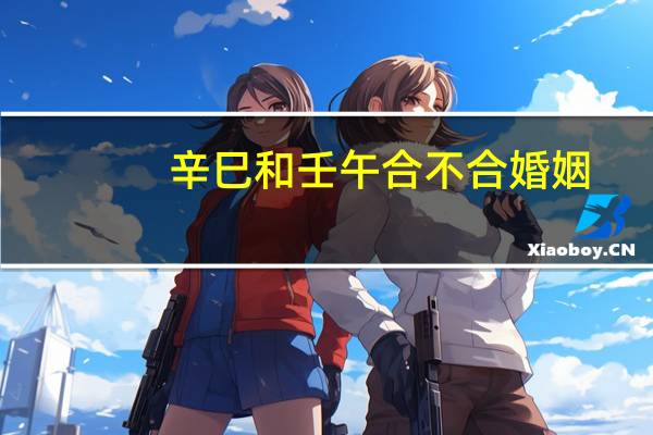 辛巳和壬午合不合婚姻