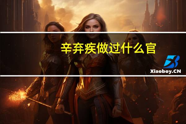 辛弃疾做过什么官