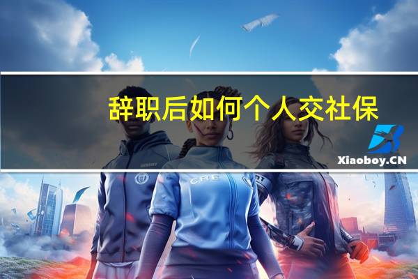 辞职后如何个人交社保