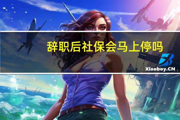 辞职后社保会马上停吗