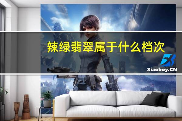 辣绿翡翠属于什么档次