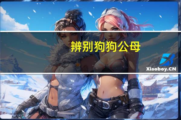 辨别狗狗公母