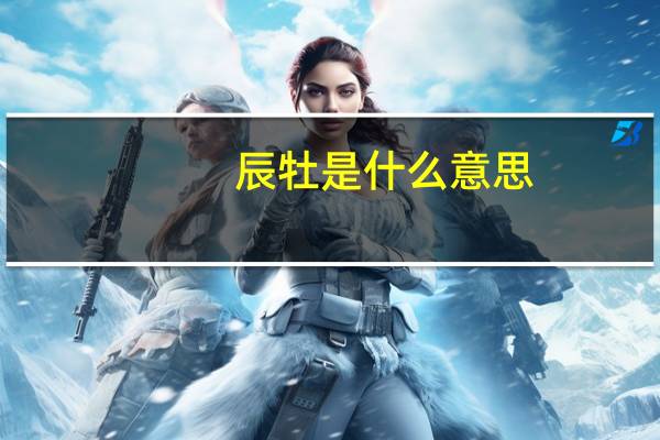 辰牡是什么意思