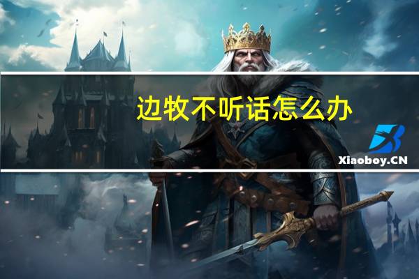 边牧不听话怎么办