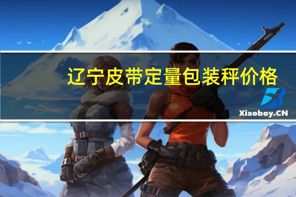辽宁皮带定量包装秤价格