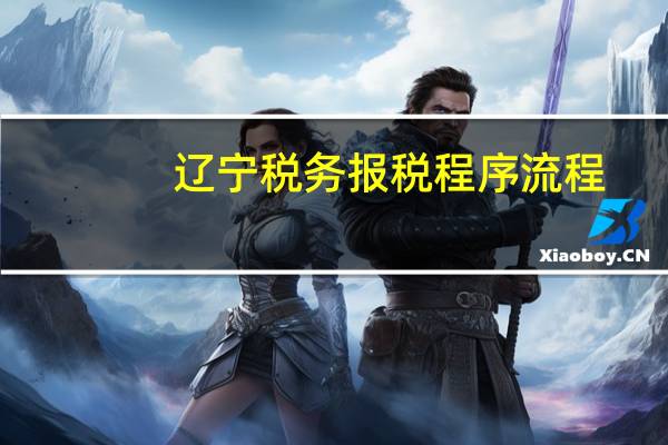 辽宁税务报税程序流程