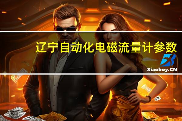 辽宁自动化电磁流量计参数