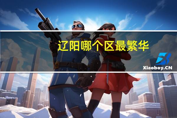 辽阳哪个区最繁华