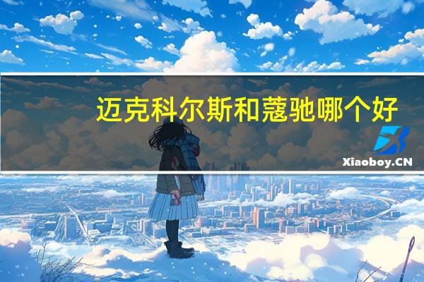 迈克科尔斯和蔻驰哪个好