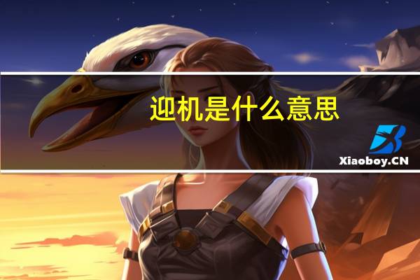 迎机是什么意思