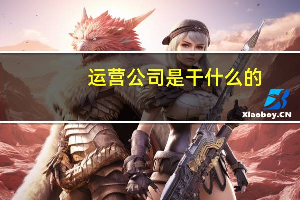 运营公司是干什么的