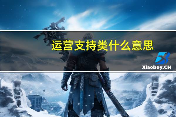 运营支持类什么意思
