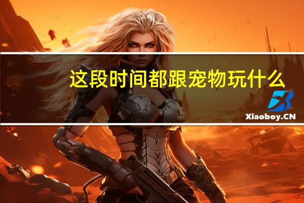 这段时间都跟宠物玩什么