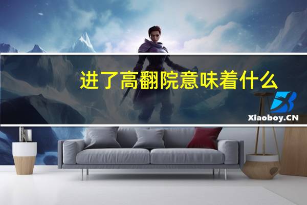进了高翻院意味着什么