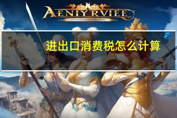 进出口消费税怎么计算
