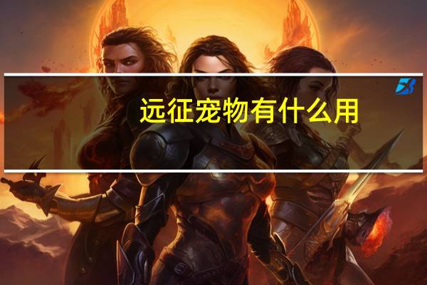 远征宠物有什么用