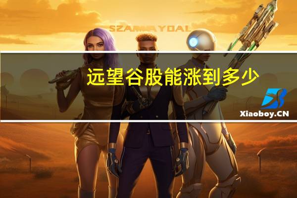 远望谷股能涨到多少