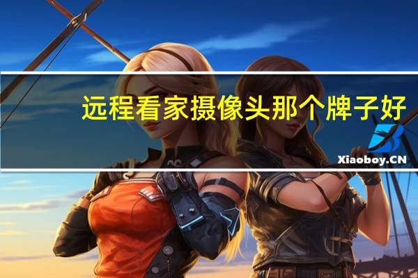 远程看家摄像头那个牌子好