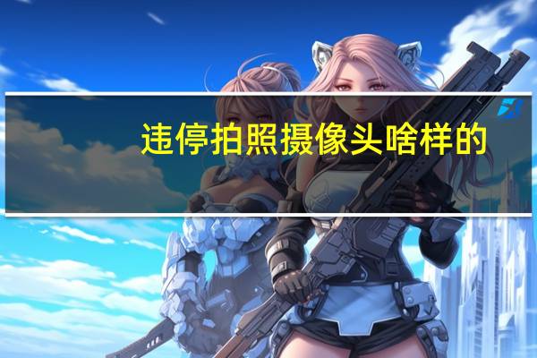 违停拍照摄像头啥样的