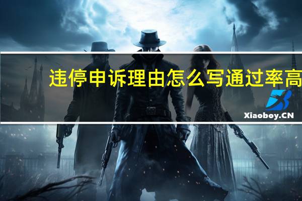 违停申诉理由怎么写通过率高
