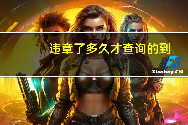 违章了多久才查询的到