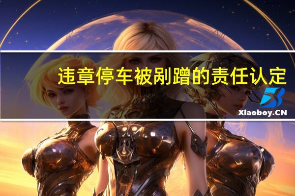 违章停车被剐蹭的责任认定