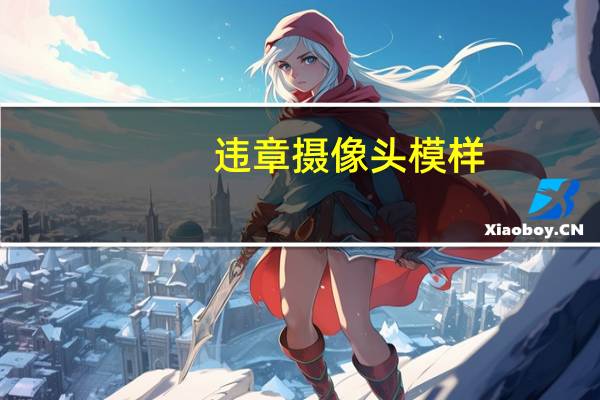 违章摄像头模样