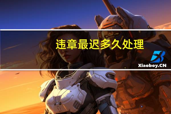 违章最迟多久处理