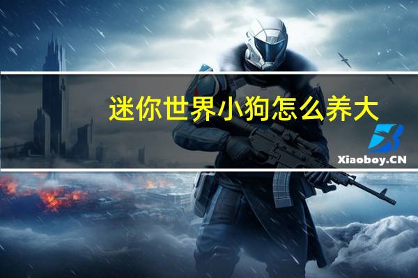 迷你世界小狗怎么养大