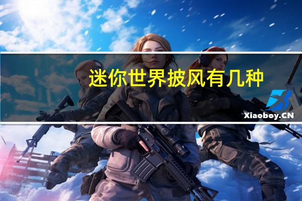 迷你世界披风有几种