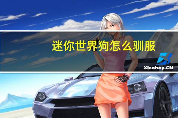 迷你世界狗怎么驯服