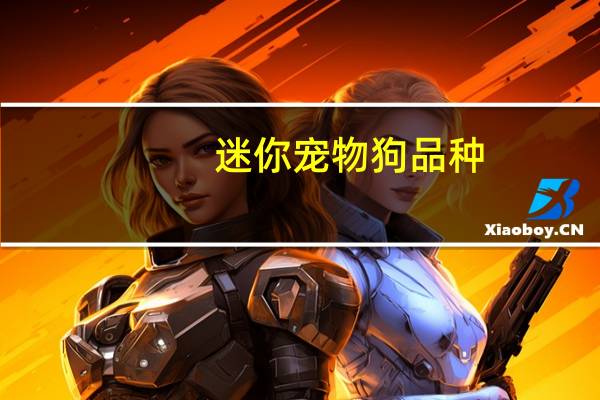 迷你宠物狗品种