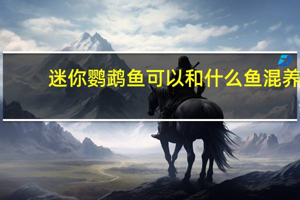 迷你鹦鹉鱼可以和什么鱼混养