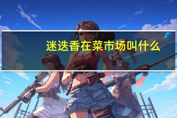 迷迭香在菜市场叫什么