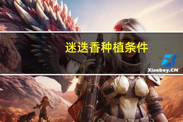 迷迭香种植条件