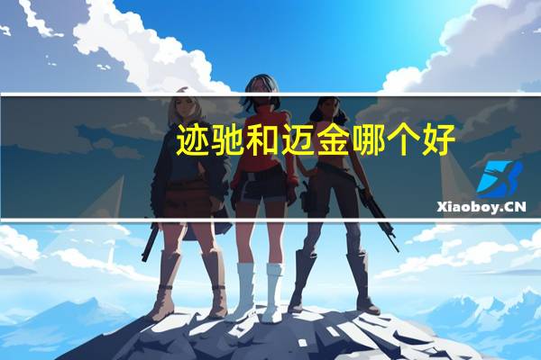 迹驰和迈金哪个好