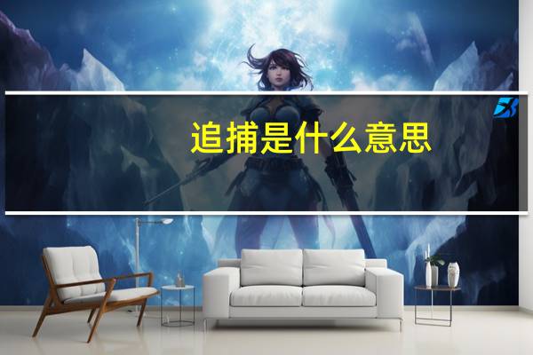 追捕是什么意思